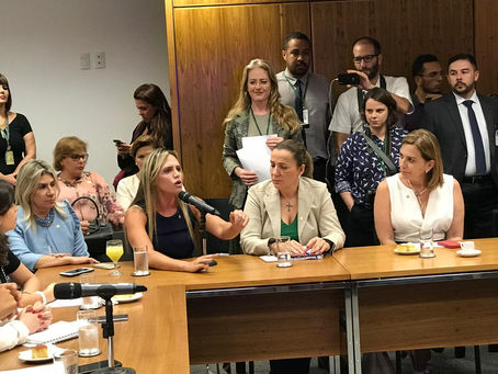 Reunião da bancada feminina