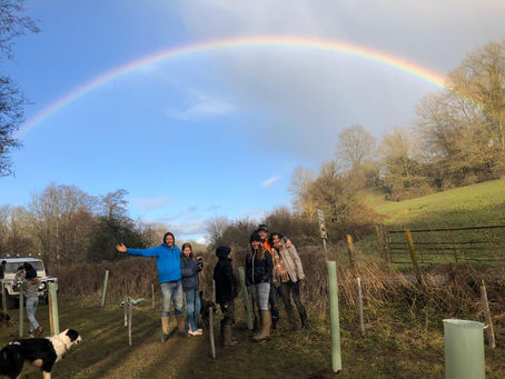 CAP Plant 500 Trees in Somerset with the Woodland Trust's MOREwoods Scheme