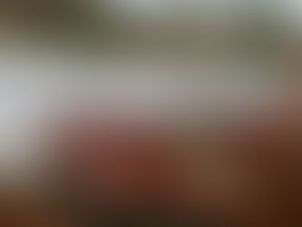 6,500 CAP funded trees starting life in Scotland