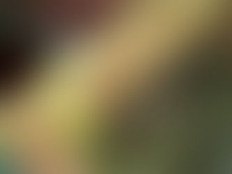 On the Trail of the Elusive Dormouse