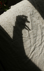 L1193731.jpg