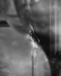 L1193594.jpg
