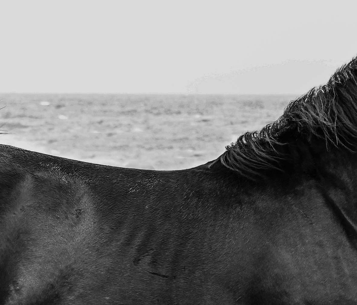 ISLA DE PASCUA - 003