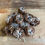Thumbnail: Lamingtons Doh-nuts