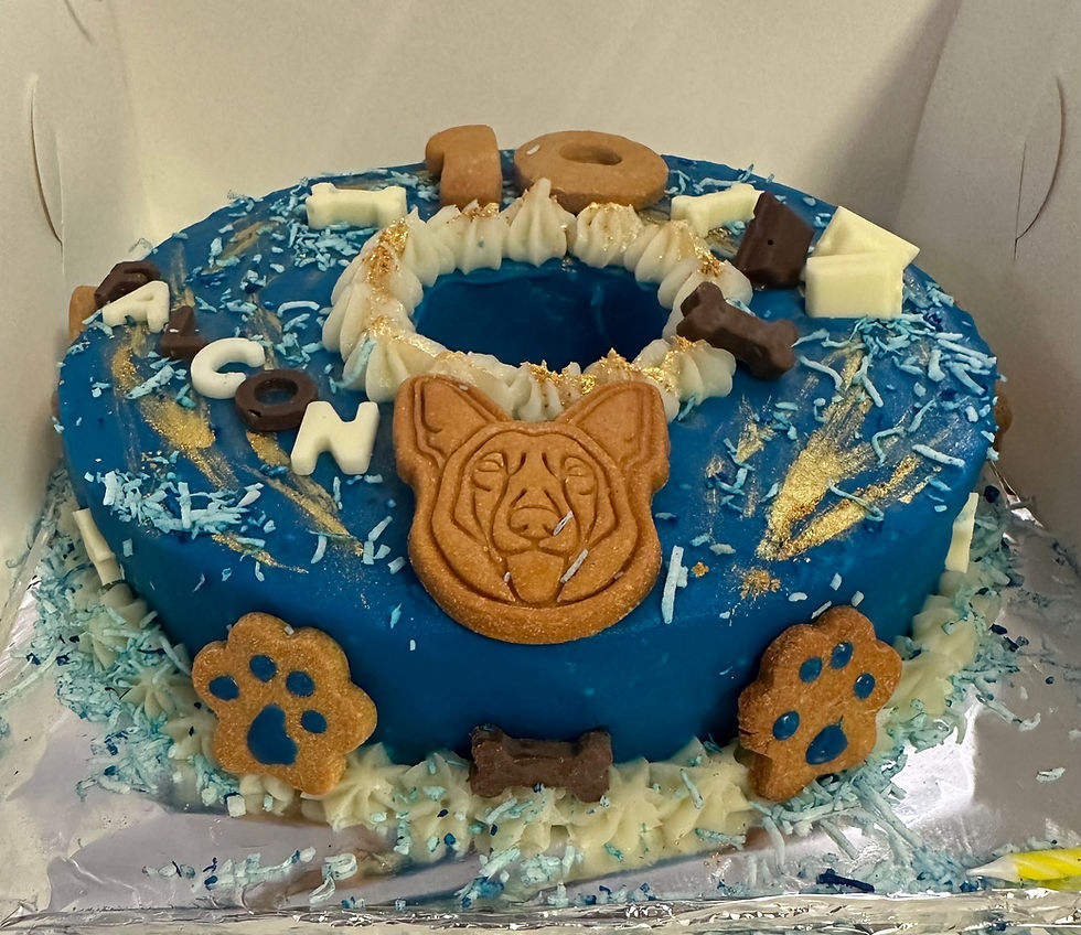 Thumbnail: DoH-Nut dog