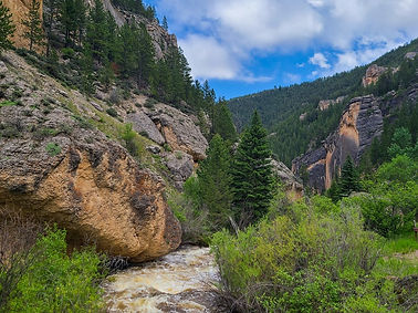 1691523580275_crazy_woman_canyon_road-1440.jpg