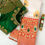 Thumbnail: Soft Weaving Soft Banarasi Silk sarees with Beautiful Gold Zari Weaves and Gold