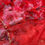 Thumbnail: Pure soft organza silk saree with beautiful floral prints nd fully handwork