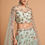 Thumbnail: Light Green Net Zari Dori and Sequins Embroidery Work A Line Lehenga