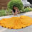 Thumbnail: COTTON WITH EMBROIDERY WORK AND RUFFLE 3 MTR FLIR WITH EMBROIDERY WITH ZEEPAR