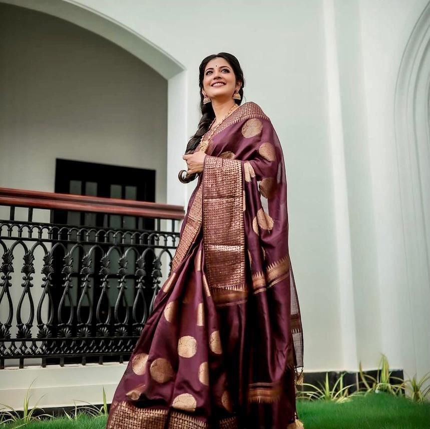 GORGEOUS BURGUNDY/ WINE SHADED SOFT SILK SAREE WITH CHIKOO COLOUR BLOUSE