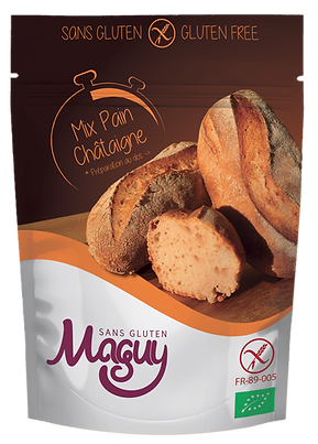 Mix Maguy Sans Gluten Châtaigne