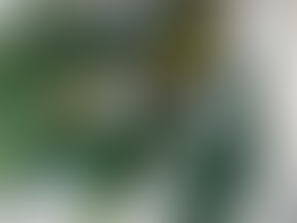 ポルシェセンター様１周年イベント