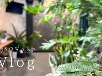 花屋のVlog、投稿しました