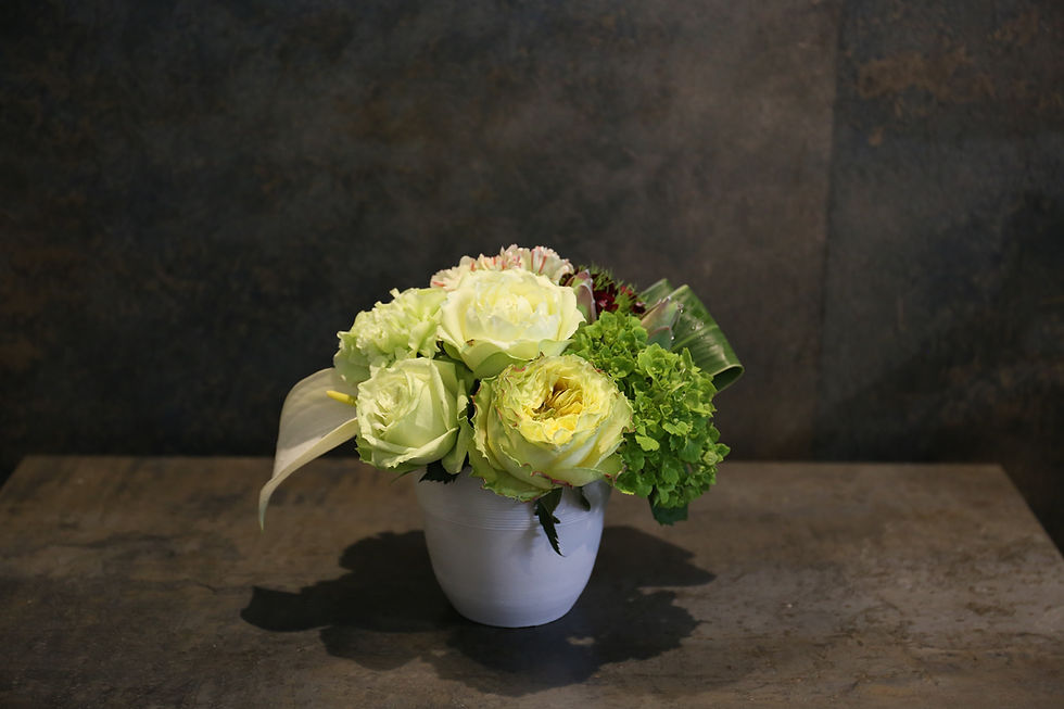 アレンジ ラウンドグラデーション ミニ