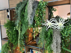 フェイクグリーン