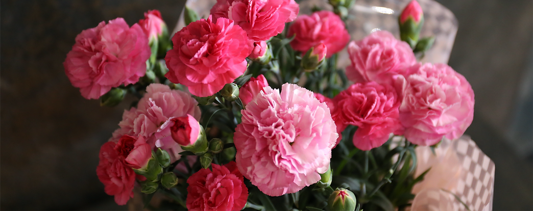 IMG_6527.png