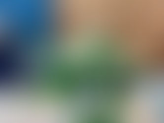 定期の生け込み
