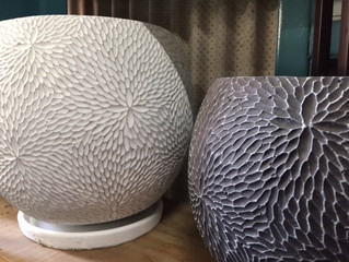 植え替え用の器