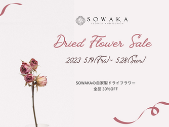 明日まで ドライフラワー30%off