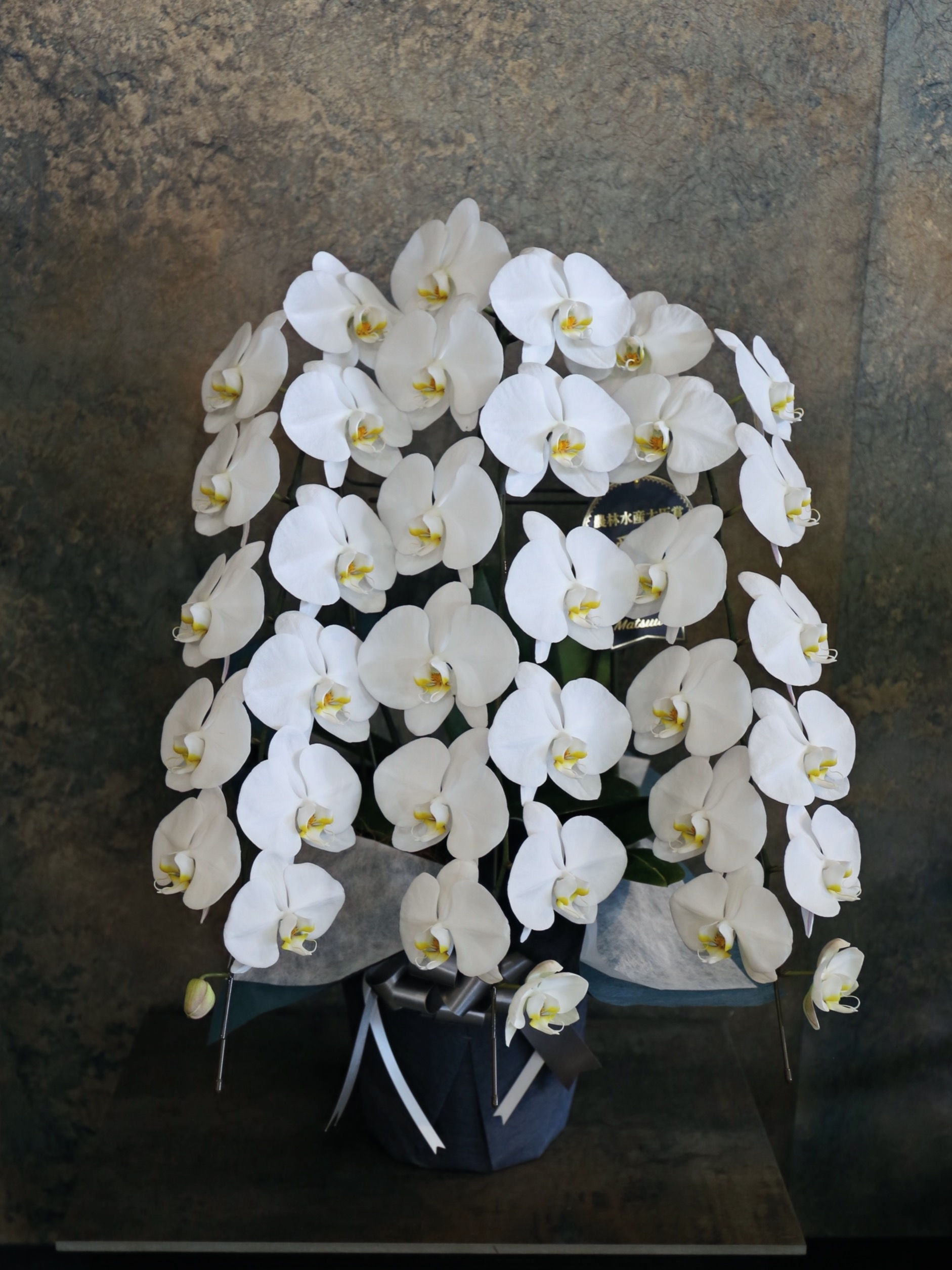 お供え用の胡蝶蘭 フォーマル