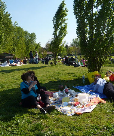 P1010032.jpg