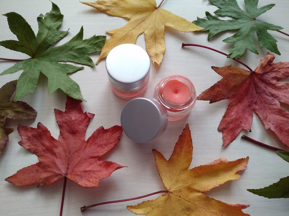 Doğal Dudak Balmı, Portakal, 6gr