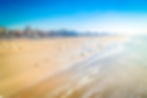 iStock-1470786536.jpg