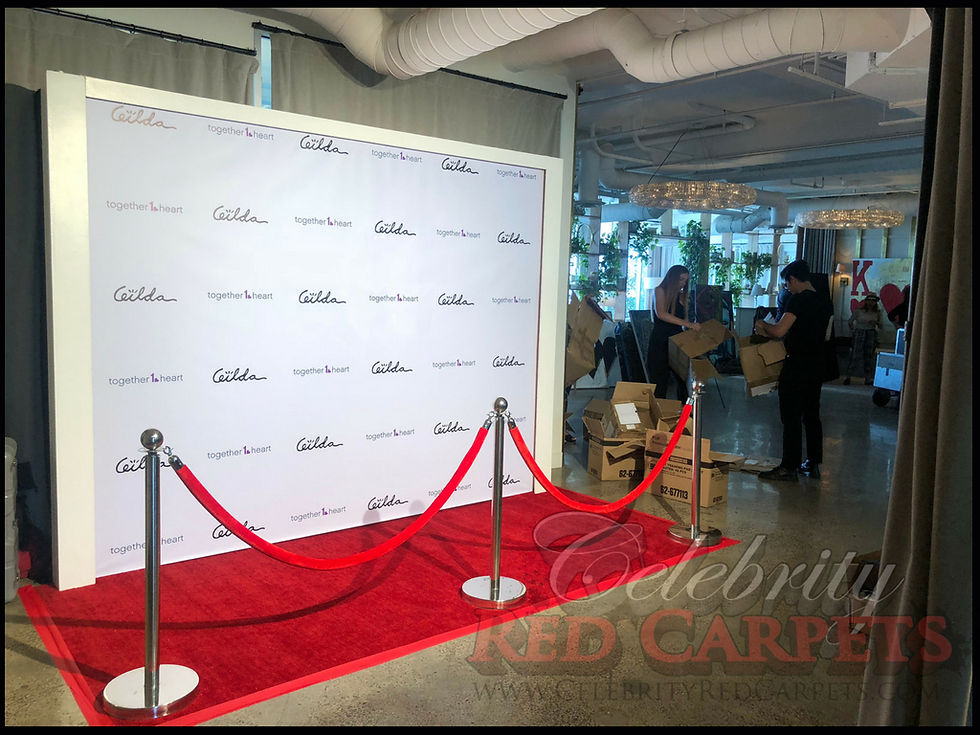 Thumbnail: 10ft STEP AND REPEAT PACKAGE - RENTAL