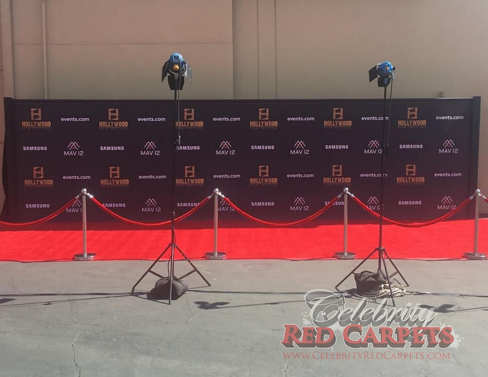 Thumbnail: 40ft STEP AND REPEAT PACKAGE - RENTAL