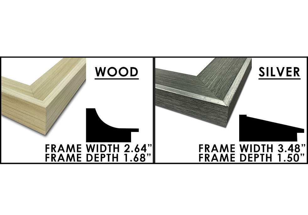 Thumbnail: Framed Canvas Prints (16" x 20")