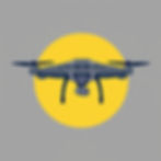 DRONE SURVEYS