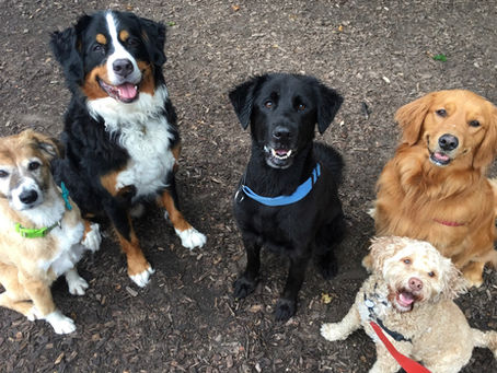 The Crew
