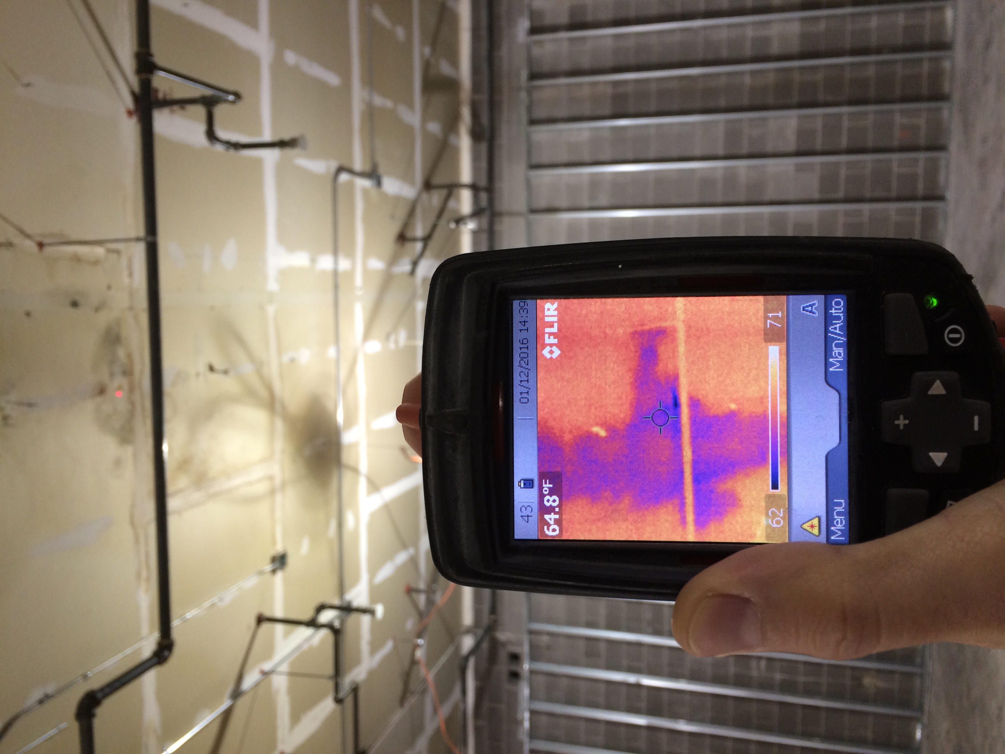 Mold & Indoor Air Quality ecosystemsinc