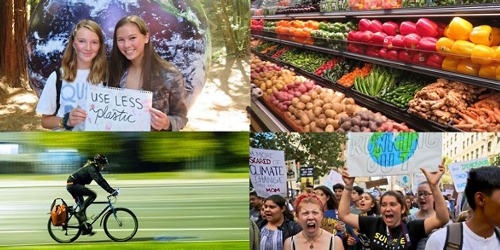 Green Change Meetup - Post-Election and Climate Action 2021