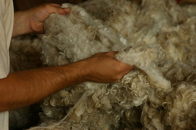 Tri du Mohair