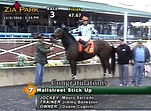 Equibase  Video Replay (2)_edited.jpg