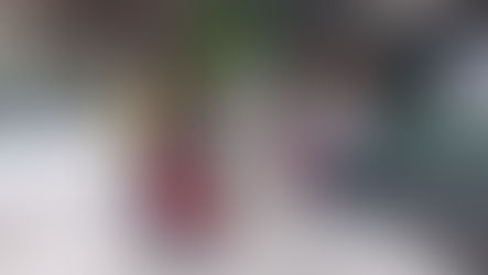 El colectivo Jóvenes Buscadores de Sonora, llevan 17 días en plantón en la CEAV