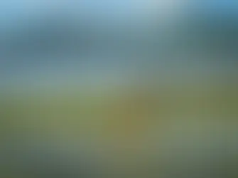 Contaminación de ríos en la CDMX cuesta cientos de millones de pesos a sus habitantes