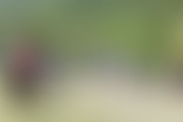 Fuerzas Armadas y GN continúan con Plan DN-III-E en los estados afectados por las lluvias