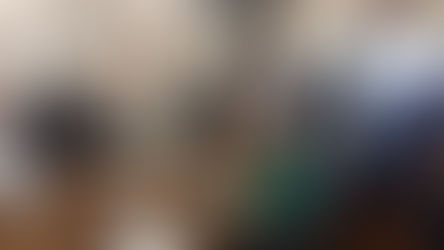 GPPVEM en el Senado realiza su reunión plenaria; aclaró que están a favor de reforma electoral de amplio consenso