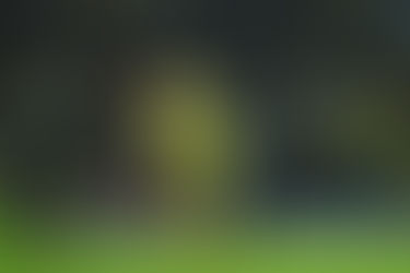 Detienen a acosador de jugadoras del América