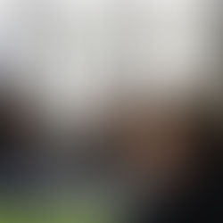 La edil Alessandra Rojo de la Vega reconoce labor de las Fuerzas Armadas y refuerza coordinación por la seguridad en Cuauhtémoc