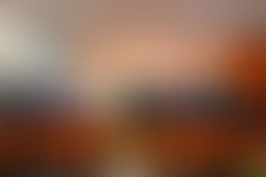 Senado de la República recibió iniciativa de la presidenta de la República sobre el “Plan B” en materia electoral.