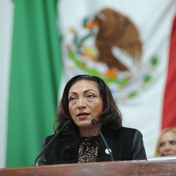 La diputada Adriana Espinosa de los Monteros impulsa reforma para garantizar la dignidad y los derechos humanos en la atención a la salud mental en la Ciudad de México