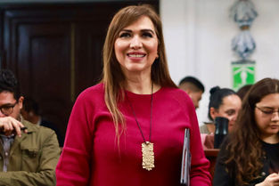Miriam Saldaña vicecoordinadora del PT en el Congreso Capitalino propone incluir nuevos tipos de contaminación en la Ley de Cultura Cívica de la Ciudad de México