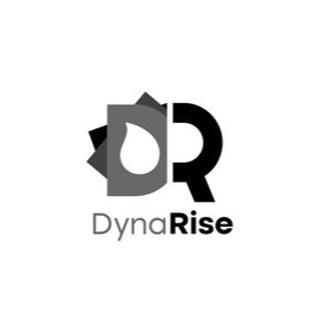 DynaRise: Brand Creation