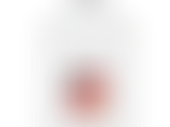 Rust - A nasty word!