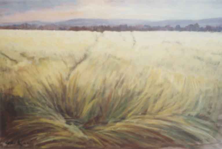 200712070A