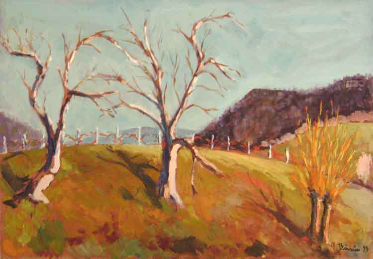 200711024A